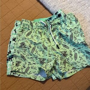 Set of 2 Boys Swim Shorts (L/12)